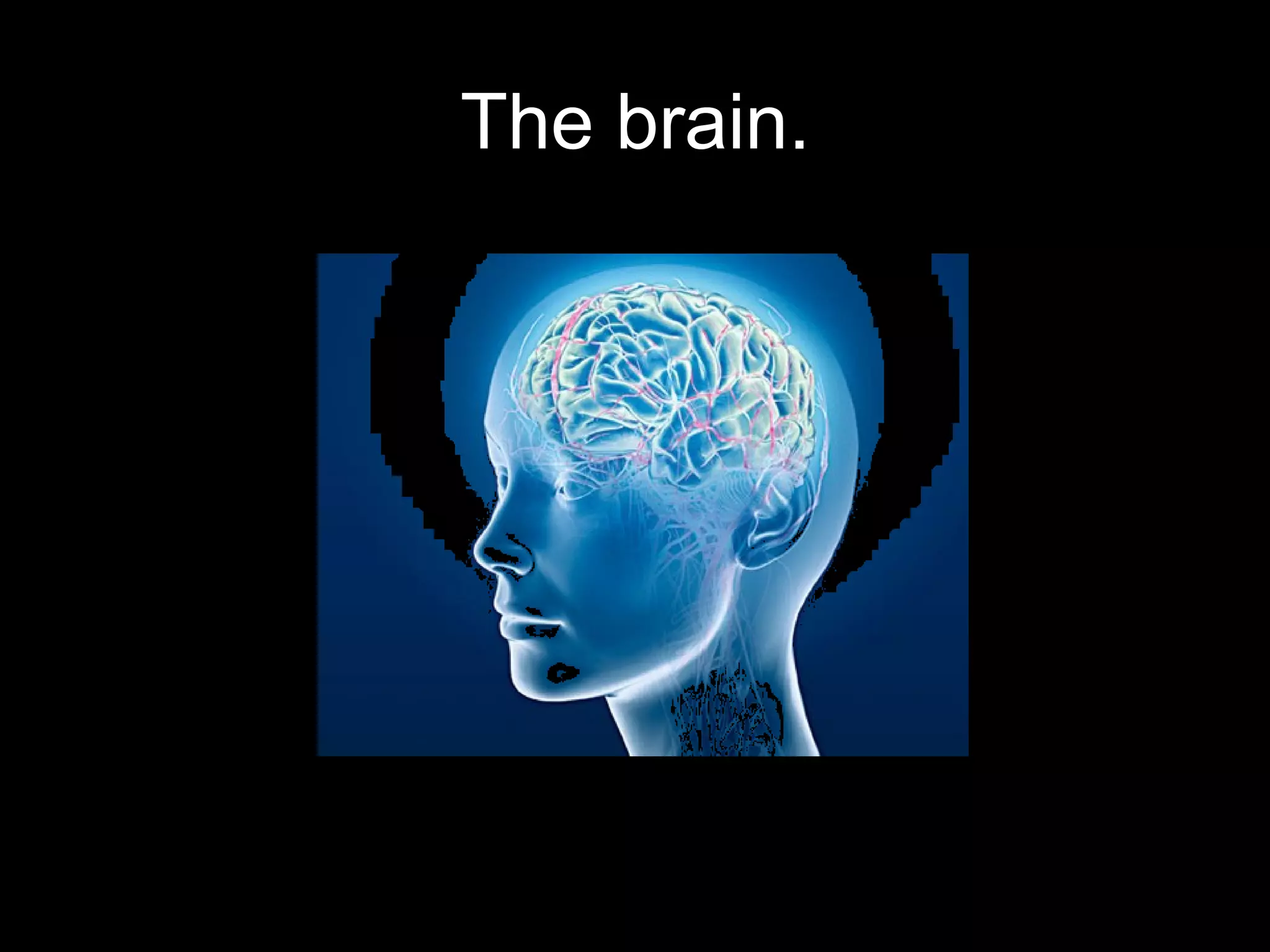 The brain.
 