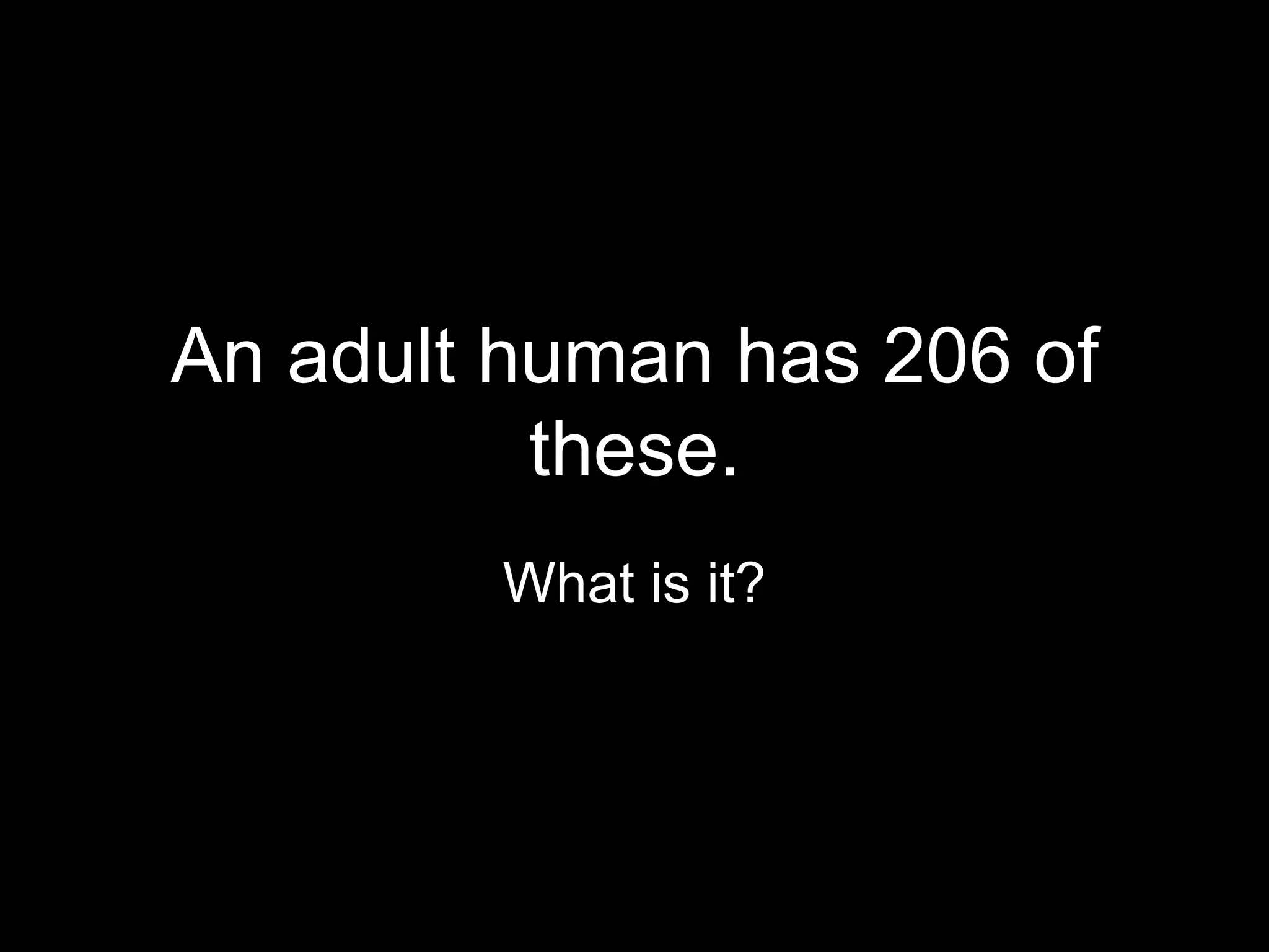 An adult human has 206 of
          these.
        What is it?
 