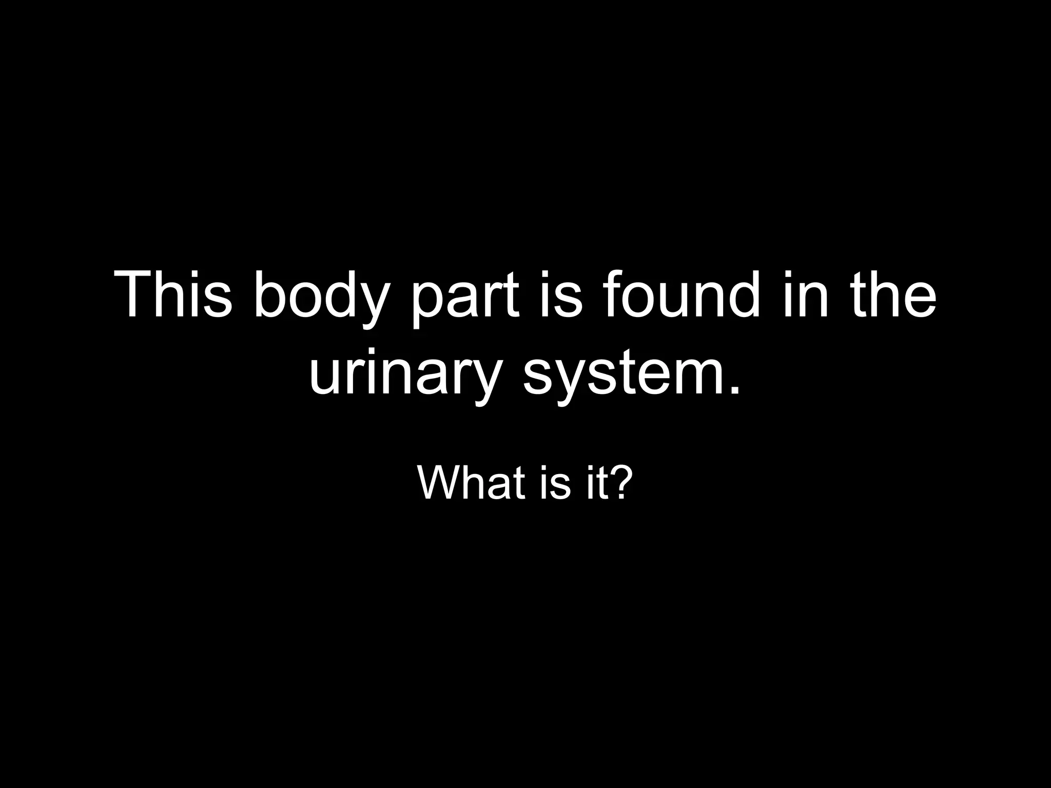 This body part is found in the
       urinary system.
           What is it?
 