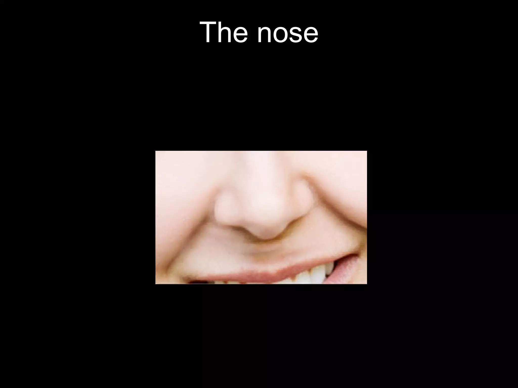 The nose
 