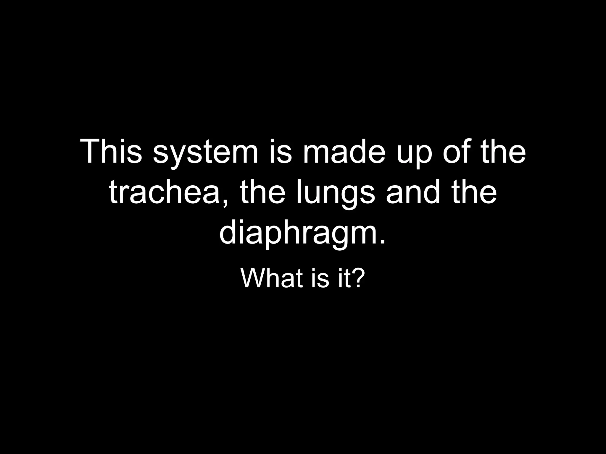 This system is made up of the
 trachea, the lungs and the
         diaphragm.
          What is it?
 