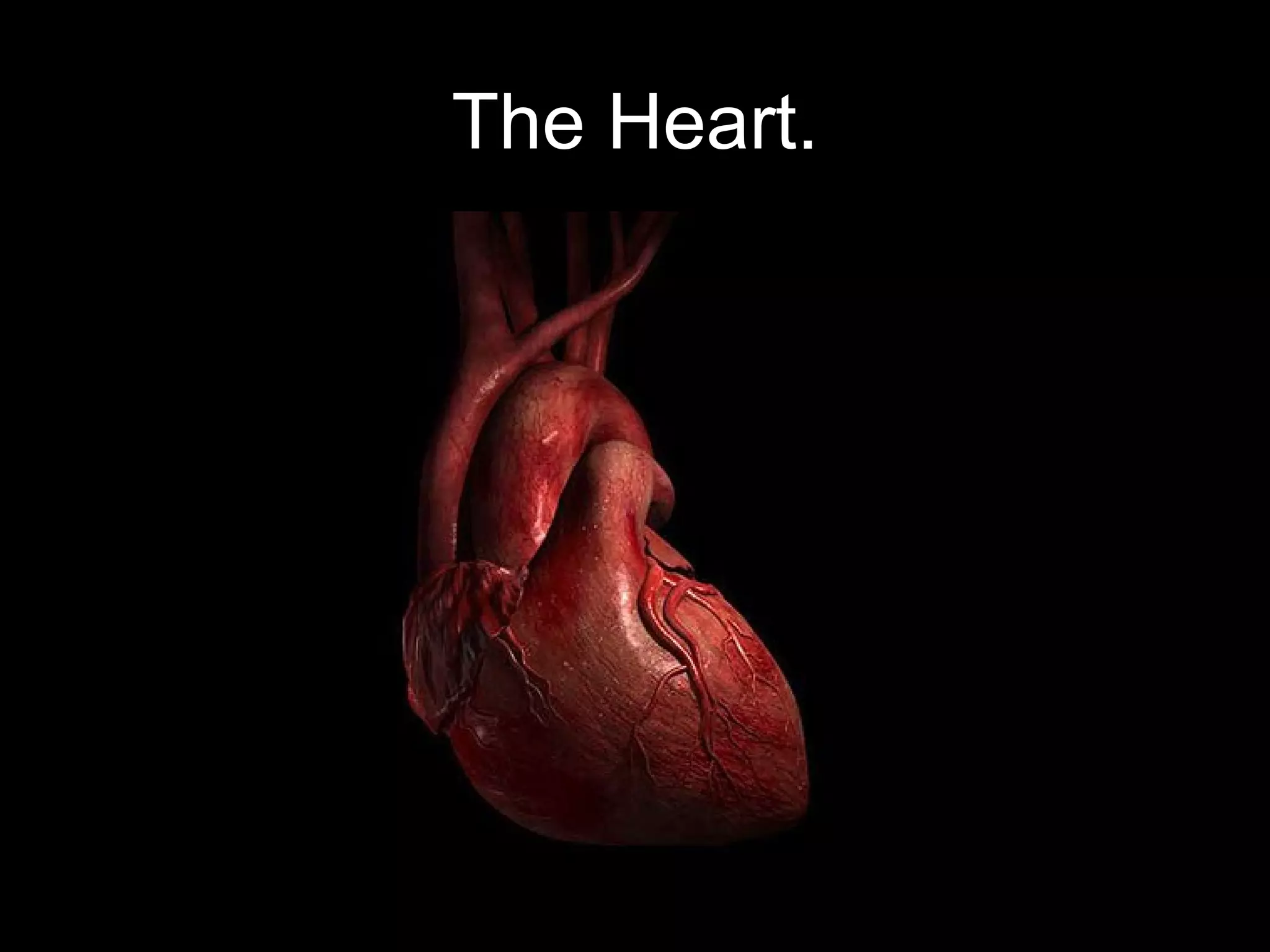 The Heart.
 