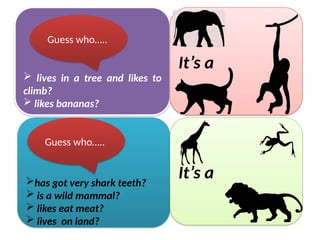  lives in a tree and likes to
climb?
 likes bananas?
It’s a
Guess who…..
has got very shark teeth?
 is a wild mammal?
 likes eat meat?
 lives on land?
It’s a
Guess who…..
 