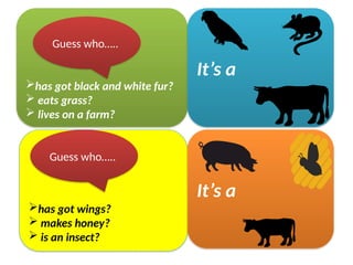 has got black and white fur?
 eats grass?
 lives on a farm?
It’s a
Guess who…..
has got wings?
 makes honey?
 is an insect?
It’s a
Guess who…..
 