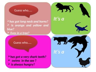 has got long neck and horns?
 is orange and yellow and
blue?
 lives in a tree?
It’s a
Guess who…..
has got a very shark teeth?
 swims in the see ?
 is always hungry?
It’s a
Guess who…..
 