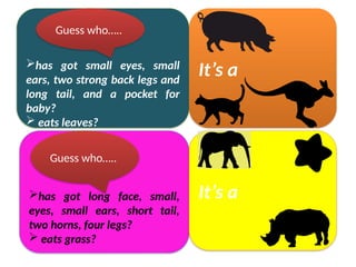 has got small eyes, small
ears, two strong back legs and
long tail, and a pocket for
baby?
 eats leaves?
 lives in a trees?
It’s a
Guess who…..
has got long face, small,
eyes, small ears, short tail,
two horns, four legs?
 eats grass?
It’s a
Guess who…..
 