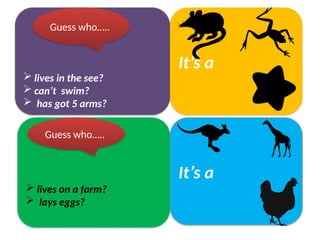  lives in the see?
 can’t swim?
 has got 5 arms?
It’s a
Guess who…..
 lives on a farm?
 lays eggs?
It’s a
Guess who…..
 