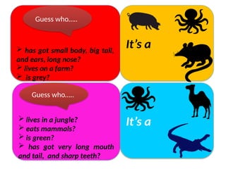  has got small body, big tail,
and ears, long nose?
 lives on a farm?
 is grey?
It’s a
Guess who…..
 lives in a jungle?
 eats mammals?
 is green?
 has got very long mouth
and tail, and sharp teeth?
It’s a
Guess who…..
 