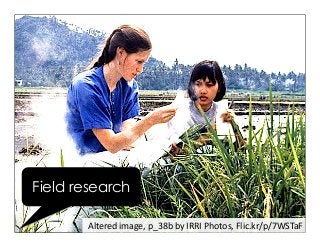 Altered	
  image,	
  p_38b	
  by	
  IRRI	
  Photos,	
  Flic.kr/p/7WSTaF	
  
Field research
 