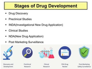 Stages of Drug Development
 Drug Discovery
 Preclinical Studies
 INDA(Investigational New Drug Application)
 Clinical Studies
 NDA(New Drug Application)
 Post Marketing Surveillance
24
 