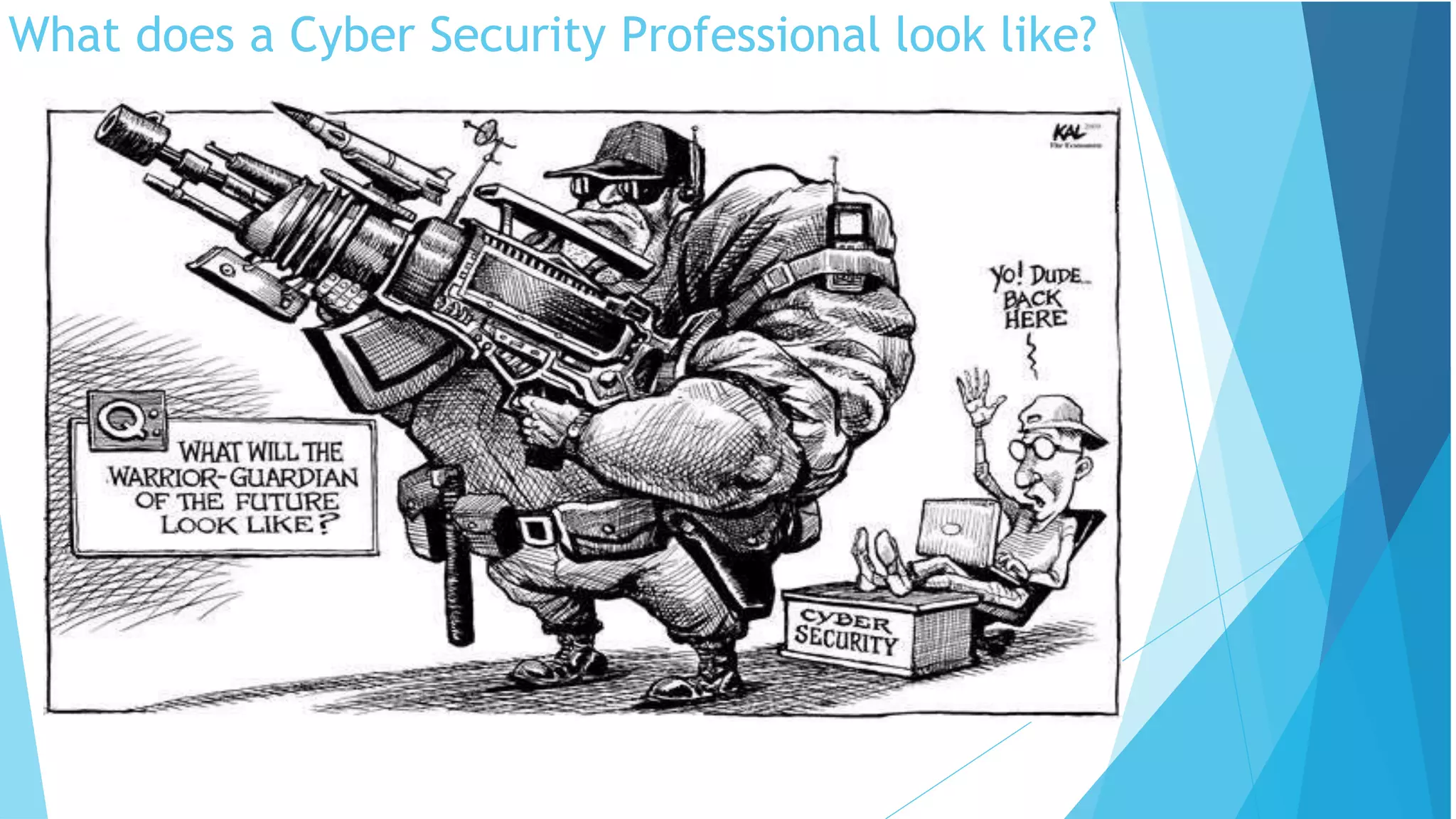 What does a Cyber Security Professional look like?
 