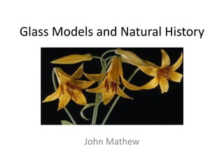 Glass Models and Natural History
John Mathew
 