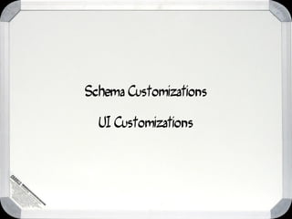 Schema Customizations

  UI Customizations
 