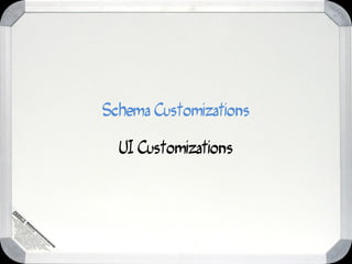 Schema Customizations

  UI Customizations
 
