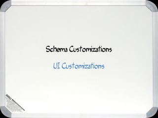 Schema Customizations

  UI Customizations
 