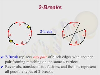 2-Breaks


           b                                 b
                        2-break
     a           c                     a           c
            d                                 d


✔ 2-Break replaces any pair of black edges with another
  pair forming matching on the same 4 vertices.
✔ Reversals, translocations, fusions, and fissions represent
  all possible types of 2-breaks.
 