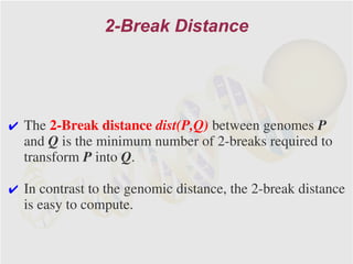 2-Break Distance




✔ The 2-Break distance dist(P,Q) between genomes P
  and Q is the minimum number of 2-breaks required to
  transform P into Q.

✔ In contrast to the genomic distance, the 2-break distance
  is easy to compute.
 