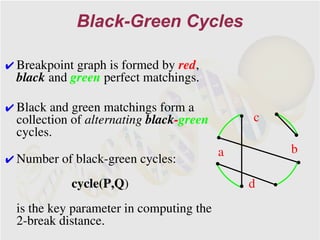 Black-Green Cycles

✔ Breakpoint graph is formed by red,
  black and green perfect matchings.

✔ Black and green matchings form a
  collection of alternating black-green       c
  cycles.
                                          a       b
✔ Number of black-green cycles:
            cycle(P,Q)                        d
  is the key parameter in computing the
  2-break distance.
 