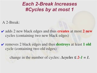 Each 2-Break Increases
              #Cycles by at most 1

A 2-Break:

✔ adds 2 new black edges and thus creates at most 2 new
  cycles (containing two new black edges)

✔ removes 2 black edges and thus destroys at least 1 old
  cycle (containing two old edges):

     change in the number of cycles: Δcycles ≤ 2-1 = 1.
 