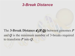 3-Break Distance




The 3-Break Distance d3(P,Q) between genomes P
and Q is the minimum number of 3-breaks required
to transform P into Q.
 