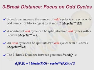 3-Break Distance: Focus on Odd Cycles

✔ 3-break can increase the number of odd cycles (i.e., cycles with
  odd number of black edges) by at most 2 (Δcyclesodd ≤ 2)

✔ A non-trivial odd cycle can be split into three odd cycles with a
  3-break (Δcyclesodd = 2)
                        2

✔ An even cycle can be split into two odd cycles with a 3-break
  (Δcyclesodd=2)
             =2

✔ The 3-Break Distance between genomes P and Q is:

        d3(P,Q) = ( blocks(P,Q) – cyclesodd(P,Q) ) / 2
 