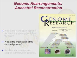 Genome Rearrangements:
            Ancestral Reconstruction




✔ What is the evolutionary scenario
  for transforming one genome into
  the other?

✔ What is the organization of the
  ancestral genome?

✔ Are there any rearrangement
  hotspots in mammalian genomes?
 