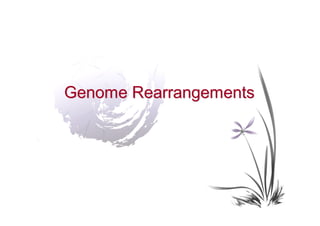 Genome Rearrangements
 