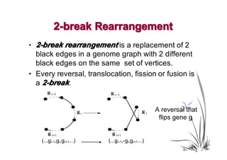 2-break Rearrangement
• 2-break rearrangement is a replacement of 2
  black edges in a genome graph with 2 different
  black edges on the same set of vertices.
• Every reversal, translocation, fission or fusion is
  a 2-break.


                                                    A reversal that
                                                     flips gene gi


    (...gi-1,gi,gi+1...)   (...g i-1,-gi,gi+1...)
 