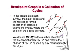 Breakpoint Graph is a Collection of
             Cycles
• In the breakpoint graph
  G(P,Q), the black edges and
  the red edges form a
  collection of black-red
  alternating cycles, where the
  colors of the edges alternate.

• We denote C(P,Q) as the number of cycles in
  the breakpoint graph G(P,Q) and refer to the
  change of C(P,Q) caused by any rearrangment r
  as ∆ r C .
 