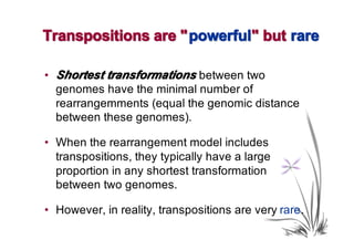 Transpositions are " powerful" but rare

• Shortest transformations between two
  genomes have the minimal number of
  rearrangemments (equal the genomic distance
  between these genomes).

• When the rearrangement model includes
  transpositions, they typically have a large
  proportion in any shortest transformation
  between two genomes.

• However, in reality, transpositions are very rare.
 