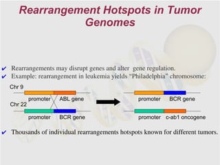 Rearrangement Hotspots in Tumor
               Genomes


✔ Rearrangements may disrupt genes and alter gene regulation.
✔ Example: rearrangement in leukemia yields “Philadelphia” chromosome:
  Chr 9

           promoter   ABL gene                  promoter   BCR gene
  Chr 22

           promoter   BCR gene                  promoter c-ab1 oncogene

✔ Thousands of individual rearrangements hotspots known for different tumors.
 