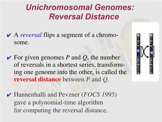 Unichromosomal Genomes:
            Reversal Distance

✔ A reversal flips a segment of a chromo-
  some.

✔ For given genomes P and Q, the number
  of reversals in a shortest series, transform-
  ing one genome into the other, is called the
  reversal distance between P and Q.

✔ Hannenhalli and Pevzner (FOCS 1995)
  gave a polynomial-time algorithm
  for computing the reversal distance.
 