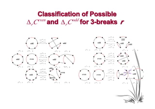 Classification of Possible
    even
∆rC      and ∆ r C odd for 3-breaks r
 