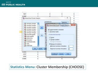 Statistics Menu: Cluster Membership (CHOOSE)
 