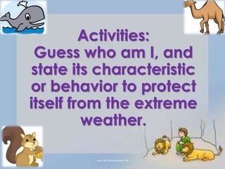 Activities:
 Guess who am I, and
state its characteristic
or behavior to protect
itself from the extreme
         weather.
 