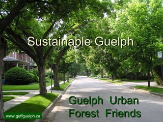 Guelph  Urban Forest  Friends Sustainable Guelph www.guffguelph.ca 