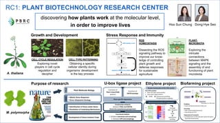 RC1: PLANT BIOTECHNOLOGY RESEARCH CENTER
Hoo Sun Chung
discovering how plants work at the molecular level,
in order to improve lives
Stress Response and Immunity
Growth and Development
PLANT-
MICROBIOTA
Exploring the
intricate
connections
between MAPK
signaling and the
assembly of and
functioning of plant
microbiota
CELL TYPE PATTERNING
Obtaining a specific
cellular identity during
organisms’ development
is the key process
CELL CYCLE REGULATION
Exploring novel
players in cell cycle
regulation and
decipher
ROS
HOMEOSTASIS
Dissecting the ROS
signaling pathway to
improve our know-
ledge of controlling
plant growth and
defense responses
for sustainable
agriculture
Dong Hye Seo
A. thaliana
Purpose of research U-box ligase project Ethylene project Biofarming project
M. polymorpha
 