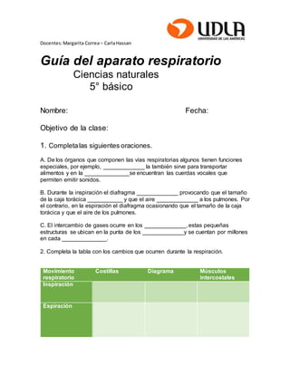 Docentes:Margarita Correa– CarlaHassan
Guía del aparato respiratorio
Ciencias naturales
5° básico
Nombre: Fecha:
Objetivo de la clase:
1. Completalas siguientes oraciones.
A. De los órganos que componen las vías respiratorias algunos tienen funciones
especiales, por ejemplo, _____________ la también sirve para transportar
alimentos y en la ______________se encuentran las cuerdas vocales que
permiten emitir sonidos.
B. Durante la inspiración el diafragma _____________ provocando que el tamaño
de la caja torácica ___________ y que el aire _____________ a los pulmones. Por
el contrario, en la espiración el diafragma ocasionando que el tamaño de la caja
torácica y que el aire de los pulmones.
C. El intercambio de gases ocurre en los _____________, estas pequeñas
estructuras se ubican en la punta de los _____________y se cuentan por millones
en cada ______________.
2. Completa la tabla con los cambios que ocurren durante la respiración.
Movimiento
respiratorio
Costillas Diagrama Músculos
intercostales
Inspiración
Espiración
 