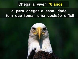 e  para  chegar  a  essa  idade tem  que  tomar  uma  decisão  difícil Chega  a  viver  70 anos 