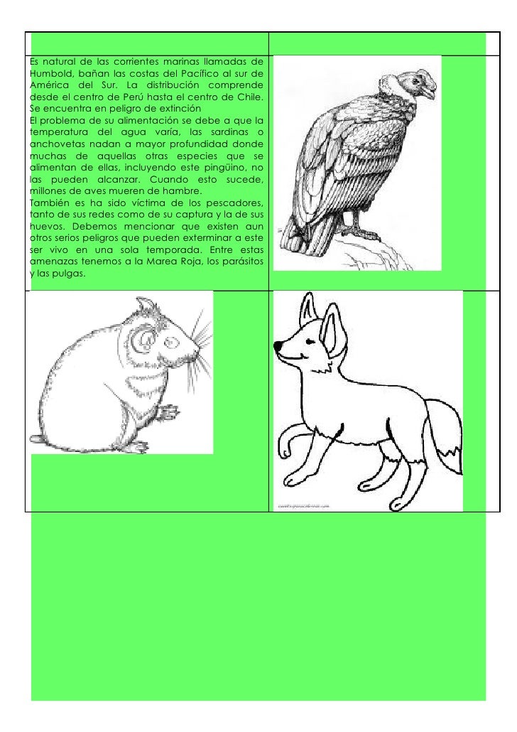 Unidad 1 “Los animales y su hábitat” 2° Básico Ficha 1