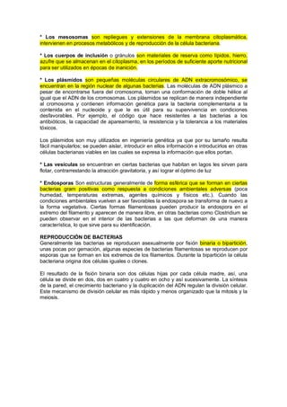* Los mesosomas son repliegues y extensiones de la membrana citoplasmática,
intervienen en procesos metabólicos y de reproducción de la célula bacteriana.
* Los cuerpos de inclusión o gránulos son materiales de reserva como lípidos, hierro,
azufre que se almacenan en el citoplasma, en los períodos de suficiente aporte nutricional
para ser utilizados en épocas de inanición.
* Los plásmidos son pequeñas moléculas circulares de ADN extracromosómico, se
encuentran en la región nuclear de algunas bacterias. Las moléculas de ADN plásmico a
pesar de encontrarse fuera del cromosoma, toman una conformación de doble hélice al
igual que el ADN de los cromosomas. Los plásmidos se replican de manera independiente
al cromosoma y contienen información genética para la bacteria complementaria a la
contenida en el nucleoide y que le es útil para su supervivencia en condiciones
desfavorables. Por ejemplo, el código que hace resistentes a las bacterias a los
antibióticos, la capacidad de apareamiento, la resistencia y la tolerancia a los materiales
tóxicos.
Los plásmidos son muy utilizados en ingeniería genética ya que por su tamaño resulta
fácil manipularlos; se pueden aislar, introducir en ellos información e introducirlos en otras
células bacterianas viables en las cuales se expresa la información que ellos portan.
* Las vesículas se encuentran en ciertas bacterias que habitan en lagos les sirven para
flotar, contrarrestando la atracción gravitatoria, y así lograr el óptimo de luz
* Endosporas Son estructuras generalmente de forma esférica que se forman en ciertas
bacterias gram positivas como respuesta a condiciones ambientales adversas (poca
humedad, temperaturas extremas, agentes químicos y físicos etc.). Cuando las
condiciones ambientales vuelven a ser favorables la endospora se transforma de nuevo a
la forma vegetativa. Ciertas formas filamentosas pueden producir la endospora en el
extremo del filamento y aparecen de manera libre, en otras bacterias como Clostridium se
pueden observar en el interior de las bacterias a las que deforman de una manera
característica, lo que sirve para su identificación.
REPRODUCCIÓN DE BACTERIAS
Generalmente las bacterias se reproducen asexualmente por fisión binaria o bipartición,
unas pocas por gemación, algunas especies de bacterias filamentosas se reproducen por
esporas que se forman en los extremos de los filamentos. Durante la bipartición la célula
bacteriana origina dos células iguales o clones.
El resultado de la fisión binaria son dos células hijas por cada célula madre, así, una
célula se divide en dos, dos en cuatro y cuatro en ocho y así sucesivamente. La síntesis
de la pared, el crecimiento bacteriano y la duplicación del ADN regulan la división celular.
Este mecanismo de división celular es más rápido y menos organizado que la mitosis y la
meiosis.
 