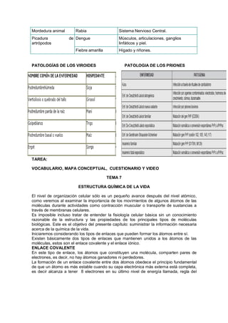 Mordedura animal Rabia Sistema Nervioso Central.
Picadura de
artrópodos
Dengue Músculos, articulaciones, ganglios
linfáticos y piel.
Fiebre amarilla Hígado y riñones.
PATOLOGÍAS DE LOS VIROIDES PATOLOGIA DE LOS PRIONES
TAREA:
VOCABULARIO, MAPA CONCEPTUAL, CUESTIONARIO Y VIDEO
TEMA 7
ESTRUCTURA QUÍMICA DE LA VIDA
El nivel de organización celular sólo es un pequeño avance después del nivel atómico,
como veremos al examinar la importancia de los movimientos de algunos átomos de las
moléculas durante actividades como contracción muscular o transporte de sustancias a
través de membranas celulares.
Es imposible incluso tratar de entender la fisiología celular básica sin un conocimiento
razonable de la estructura y las propiedades de los principales tipos de moléculas
biológicas. Este es el objetivo del presente capítulo: suministrar la información necesaria
acerca de la química de la vida.
Iniciaremos considerando los tipos de enlaces que pueden formar los átomos entre sí.
Existen básicamente dos tipos de enlaces que mantienen unidos a los átomos de las
moléculas, estos son el enlace covalente y el enlace iónico.
ENLACE COVALENTE
En este tipo de enlace, los átomos que constituyen una molécula, comparten pares de
electrones, es decir, no hay átomos ganadores ni perdedores.
La formación de un enlace covalente entre dos átomos obedece el principio fundamental
de que un átomo es más estable cuando su capa electrónica más externa está completa,
es decir alcanza a tener 8 electrones en su último nivel de energía llamada, regla del
 