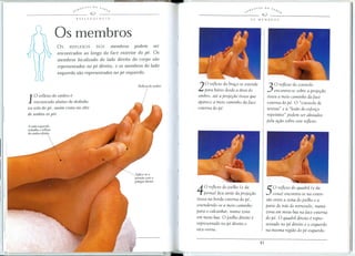 .",'i,t'.T£S DO SA
~~ BeR
-------------
Os membros
OS REFLEXOS DOS membros podem ser
encontrados ao longo da face exterior do pI' 0 Os
membros localizado do lado direito do corpo SaD
representados no pI' direito, e os membros do lado
esquerdo SaD representados no pI' esquerdoo
1
0 reflexo do ombro e
encontrado abaixo do dedinho
na sola do pe, assim como no alto
de ambos os pes
A mao esquerda
traballia 0 refiexo
do ombro direito
ApJica-se a
pressao com 0
polegar direito
20 ref/exo do bra"o se estende
para baixo desde a area do
ombro, ate a proje"ao 6ssea que
aparece a meio caminho da face
externa do pe 0
30 ref/exo do cotovelo
encontra-se sabre a proje"ao
6ssea a meio caminho da face
externa do peo 0 "cotovelo de
tenista" e a "lesao do esfor"o
repetitivo" podem ser aliviados
pela a"ao sabre este ref/exo 0
40 ref/exo do joelho (e da
perna) fica atras da proje"ao
6ssea na borda externa do pe,
estendendo-se a meio caminho
para a calcanhar, numa zona
em meia-luao 0 joelho direito e
representado no pe direito e
vice-versa 0
50 ref/exo do quadril (e da
coxa) encontra-se na exten-
sao entre a zona do joelho e a
parte de tras do tornozelo, numa
zona em meia-lua na face externa
do peo 0 quadril direito e repre-
sentado no pe direito e a esquerdo
na mesma regiao do pe esquerdo 0
 