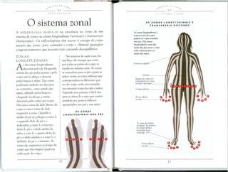 osistema zonal
A REFLEXOLOGIA BASEIA-SE na eXIstencia no corpo de um
sistema de zonas ou canais longitudinais (verticais) e transversais
(horizontais). Os reflexologistas tem acesso a energia do corpo
atraves das zonas, para estimular 0 corpo e eliminar quaisquer
congestionamentos que possam estar causando desequilibrios.
ZONAS
LONGITUDINAIS
As dez zonas longitudinais,
descritas pelo dr. Fitzgerald,
sobem dos pes pelas pernas e pelo
corpo ate a cabe<;:a,e descem
pelos bra<;:ose maos. Tais zonas
poderiam tambem ser descritas
ao contrario, como saindo das
maos, subindo pelo bra<;:ose
chegando a cabe<;:a,e entao
descendo pelo corpo ate os pes.
Ha cinco zonas do lado direito do
carpo e cinco zona do lado
esquerdo: a zona 1 ligando 0
dedao do pe ao polegar; a zona 2,
o segundo dedo do pe e 0
indicador; a zona 3,0 terceiro
dedo do pe e 0 dedo medio da
mao; a zona 4, 0 quarto dedo do
pe e 0 dedo anular; e a zona 5, 0
dedinho do pe e 0 minimo. As
zonas sao segmentos ao longo do
carpo que tem largura igual em
cada se<;:aodo corpo.
No interior de cad a zona, ha
um fluxo de energia que corre
por todas as partes do corpo si-
tuadas na mesma zona. As zonas
se estendem para os pes e para as
maos, assim as zonas reflexas que
carrespondem as diferentes par-
tes do corpo serao encontradas
nas mesmas zonas dos pes e maos.
Segundo esse prisma, e facil ma-
pear as areas do corpo que cones-
pondem aos pontos reflexos
apropriados nos pes e nas maos.
AS ZONAS
LONGITUDINAIS NOS PES
AS ZONAS LONGITUDINAIS E
TRANVERSAIS DOCORPO
As zonas longitudinais e
transversais do corpo
podem seT representadas
nos pes. Dez zonas
longitudinais saem dos
declos dos pes para 0 cor/)o
todo e descem para os
dedos das milos.
Cincura
Regiaes do corpo cor-
respondentes as zonas
nos pes e nas mJos
As zonas da cimura
escapular, da cintura e
cia cin tura pelvica
mostradas no pe
(vejapag.12)
Zonas ref/exas
nos pes
 