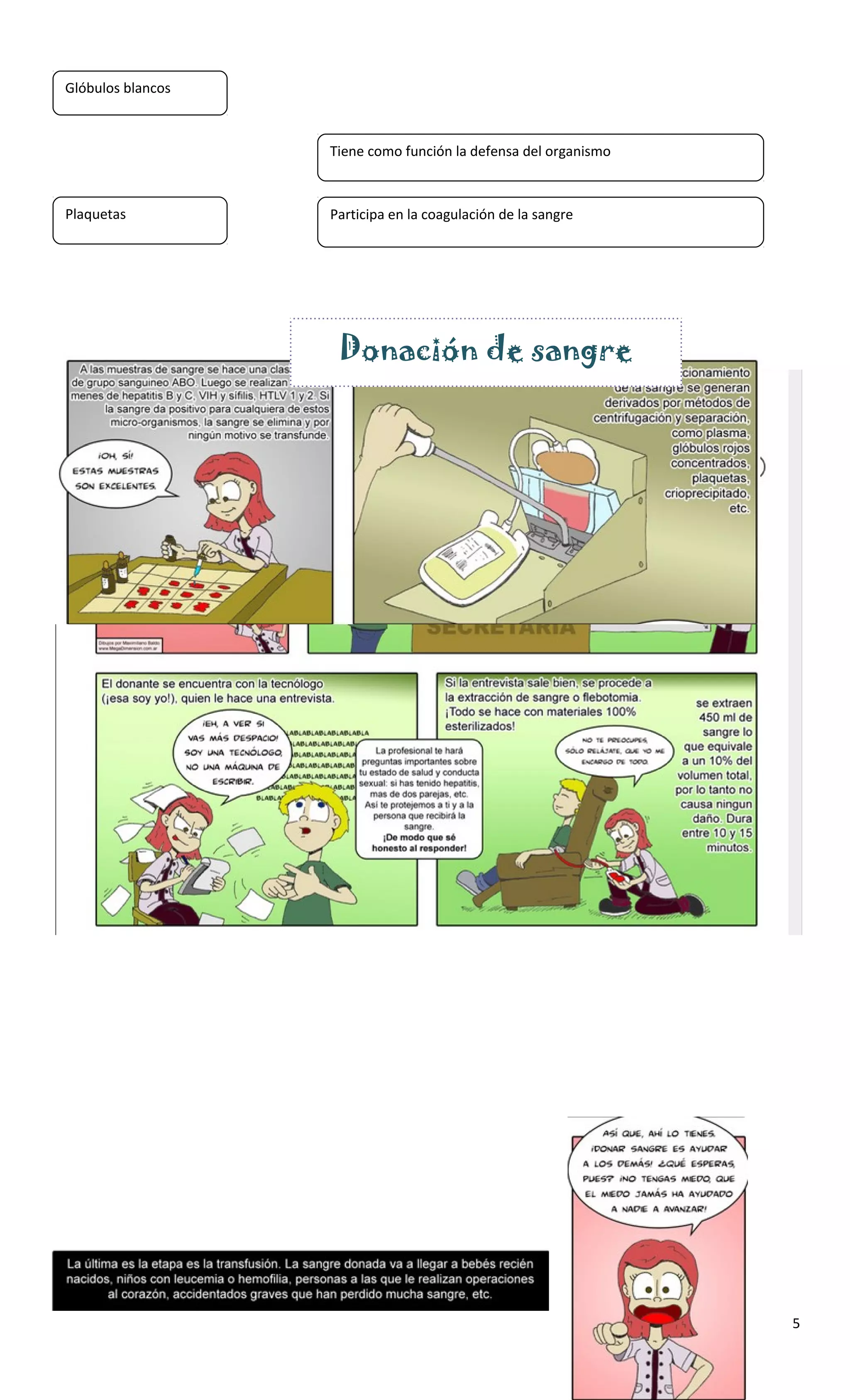 5
Glóbulos blancos
Plaquetas
Tiene como función la defensa del organismo
Participa en la coagulación de la sangre
Donación de sangre
 