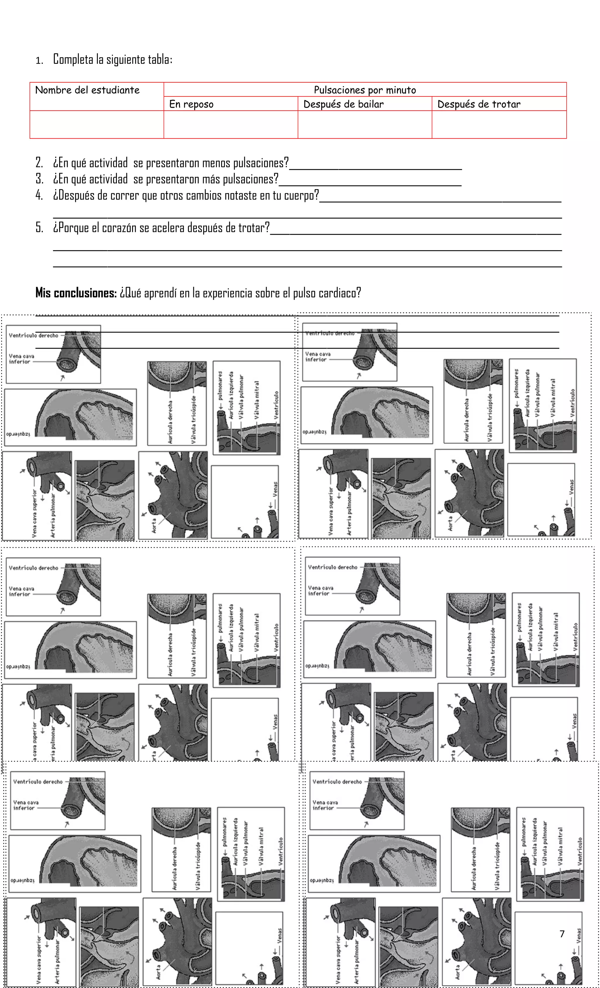 1. Completa la siguiente tabla:
Nombre del estudiante Pulsaciones por minuto
En reposo Después de bailar Después de trotar
2. ¿En qué actividad se presentaron menos pulsaciones?___________________________________
3. ¿En qué actividad se presentaron más pulsaciones?_____________________________________
4. ¿Después de correr que otros cambios notaste en tu cuerpo?_________________________________________________
_______________________________________________________________________________________________________
5. ¿Porque el corazón se acelera después de trotar?___________________________________________________________
_______________________________________________________________________________________________________
_______________________________________________________________________________________________________
Mis conclusiones: ¿Qué aprendí en la experiencia sobre el pulso cardiaco?
__________________________________________________________________________________________________________
__________________________________________________________________________________________________________
__________________________________________________________________________________________________________
7
 