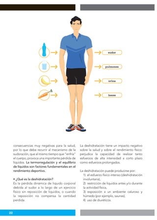 22
consecuencias muy negativas para la salud,
por lo que debe recurrir al mecanismo de la
sudoración, que al mismo tiempo que “enfría”
el cuerpo, provoca una importante pérdida de
líquidos. La termorregulación y el equilibrio
de líquidos son factores fundamentales en el
rendimiento deportivo.
• ¿Qué es la deshidratación?
Es la pérdida dinámica de líquido corporal
debida al sudor a lo largo de un ejercicio
físico sin reposición de líquidos, o cuando
la reposición no compensa la cantidad
perdida.
La deshidratación tiene un impacto negativo
sobre la salud y sobre el rendimiento físico:
perjudica la capacidad de realizar tanto
esfuerzos de alta intensidad a corto plazo
como esfuerzos prolongados.
La deshidratación puede producirse por:
1) el esfuerzo físico intenso (deshidratación
involuntaria),
2) restricción de líquidos antes y/o durante
la actividad física,
3) exposición a un ambiente caluroso y
húmedo (por ejemplo, saunas),
4) uso de diuréticos.
 