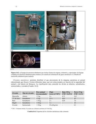 Métodos de anestesia, analgesia y eutanasia12
(a) (b)
( C )
Figura 14-2. a) Equipo de anestesia inhalatoria que incluye fuente de oxígeno, rotámetro y vaporizador. b) Equipo
completo de anestesia inhalatoria para roedores con sistema de eliminación de gases anestésicos. C) Detalle de
mascarilla inhalatoria para roedores
Circuitos anestésicos: permiten distribuir el gas proveniente de la máquina anestésica al animal
(denominado gas fresco). Existen diferentes tipos, que son seleccionados en función de la seguridad del
animal y del ahorro de fármacos. La clasificación más conocida los divide en abiertos, semiabiertos,
semicerrados y cerrados (Cuadro 14-4).
Circuito Tipo de circuito
Peso animal
(recomendado)
Flujo
(veces el VM*)
Rata 250 g
(VM = 0,25 l)
Perro 15 kg
(VM = 3,5 l)
Mascarilla Abierto < 2 kg 3 x 0,75 10,5
‘T’ de Ayre Semiabierto < 5 kg 2,5 x 0,63 8,5
Bain Semiabierto < 10 kg 2 x 0,50 7,0
Magill Semiabierto > 10 kg 1 x - 3,5
Circular Semicerrado > 10 kg 20 ml/kg/min - 0,3
* VM = Volumen minuto. Se asume un volumen corriente de 10 mL/kg
Cuadro14-4. Esquema de los circuitos anestésicos más comunes
 