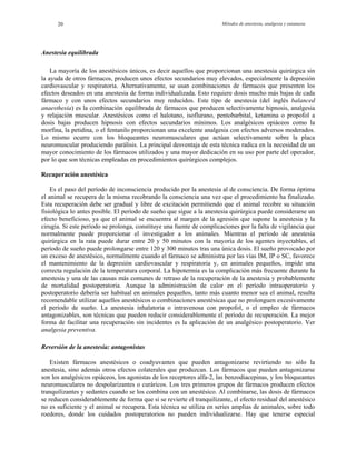 Métodos de anestesia, analgesia y eutanasia20
Anestesia equilibrada
La mayoría de los anestésicos únicos, es decir aquellos que proporcionan una anestesia quirúrgica sin
la ayuda de otros fármacos, producen unos efectos secundarios muy elevados, especialmente la depresión
cardiovascular y respiratoria. Alternativamente, se usan combinaciones de fármacos que presenten los
efectos deseados en una anestesia de forma individualizada. Esto requiere dosis mucho más bajas de cada
fármaco y con unos efectos secundarios muy reducidos. Este tipo de anestesia (del inglés balanced
anaesthesia) es la combinación equilibrada de fármacos que producen selectivamente hipnosis, analgesia
y relajación muscular. Anestésicos como el halotano, isoflurano, pentobarbital, ketamina o propofol a
dosis bajas producen hipnosis con efectos secundarios mínimos. Los analgésicos opiáceos como la
morfina, la petidina, o el fentanilo proporcionan una excelente analgesia con efectos adversos moderados.
Lo mismo ocurre con los bloqueantes neuromusculares que actúan selectivamente sobre la placa
neuromuscular produciendo parálisis. La principal desventaja de esta técnica radica en la necesidad de un
mayor conocimiento de los fármacos utilizados y una mayor dedicación en su uso por parte del operador,
por lo que son técnicas empleadas en procedimientos quirúrgicos complejos.
Recuperación anestésica
Es el paso del período de inconsciencia producido por la anestesia al de consciencia. De forma óptima
el animal se recupera de la misma recobrando la consciencia una vez que el procedimiento ha finalizado.
Esta recuperación debe ser gradual y libre de excitación permitiendo que el animal recobre su situación
fisiológica lo antes posible. El período de sueño que sigue a la anestesia quirúrgica puede considerarse un
efecto beneficioso, ya que el animal se encuentra al margen de la agresión que supone la anestesia y la
cirugía. Si este período se prolonga, constituye una fuente de complicaciones por la falta de vigilancia que
normalmente puede proporcionar el investigador a los animales. Mientras el período de anestesia
quirúrgica en la rata puede durar entre 20 y 50 minutos con la mayoría de los agentes inyectables, el
período de sueño puede prolongarse entre 120 y 300 minutos tras una única dosis. El sueño provocado por
un exceso de anestésico, normalmente cuando el fármaco se administra por las vías IM, IP o SC, favorece
el mantenimiento de la depresión cardiovascular y respiratoria y, en animales pequeños, impide una
correcta regulación de la temperatura corporal. La hipotermia es la complicación más frecuente durante la
anestesia y una de las causas más comunes de retraso de la recuperación de la anestesia y probablemente
de mortalidad postoperatoria. Aunque la administración de calor en el período intraoperatorio y
postoperatorio debería ser habitual en animales pequeños, tanto más cuanto menor sea el animal, resulta
recomendable utilizar aquellos anestésicos o combinaciones anestésicas que no prolonguen excesivamente
el período de sueño. La anestesia inhalatoria o intravenosa con propofol, o el empleo de fármacos
antagonizables, son técnicas que pueden reducir considerablemente el período de recuperación. La mejor
forma de facilitar una recuperación sin incidentes es la aplicación de un analgésico postoperatorio. Ver
analgesia preventiva.
Reversión de la anestesia: antagonistas
Existen fármacos anestésicos o coadyuvantes que pueden antagonizarse revirtiendo no sólo la
anestesia, sino además otros efectos colaterales que produzcan. Los fármacos que pueden antagonizarse
son los analgésicos opiáceos, los agonistas de los receptores alfa-2, las benzodiacepinas, y los bloqueantes
neuromusculares no despolarizantes o curáricos. Los tres primeros grupos de fármacos producen efectos
tranquilizantes y sedantes cuando se los combina con un anestésico. Al combinarse, las dosis de fármacos
se reducen considerablemente de forma que si se revierte el tranquilizante, el efecto residual del anestésico
no es suficiente y el animal se recupera. Esta técnica se utiliza en series amplias de animales, sobre todo
roedores, donde los cuidados postoperatorios no pueden individualizarse. Hay que tenerse especial
 