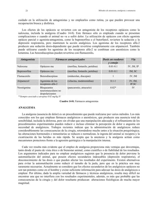 Métodos de anestesia, analgesia y eutanasia21
cuidado en la utilización de antagonistas y no emplearlos como rutina, ya que pueden provocar una
recuperación brusca y disfórica.
Los efectos de los opiáceos se revierten con un antagonista de los receptores opiáceos como la
naloxona, incluida la analgesia (Cuadro 14-8). Este fármaco sólo es empleado cuando se presentan
complicaciones o cuando el animal no va a sufrir dolor. La utilización de opiáceos con efecto agonista
opiáceo parcial o agonista-antagonista, como la buprenorfina o el butorfanol, revierten la sedación y la
depresión respiratoria, pero mantienen la acción analgésica. Los agonistas de los receptores alfa-2
producen una sedación dosis-dependiente que puede revertirse completamente con atipamezol. También
puede utilizarse cuando los agonistas de los receptores alfa-2 se combinan con anestésicos como la
ketamina. Las benzodiacepinas pueden revertirse con flumazenilo.
Antagonista Fármacos antagonizados Dosis en roedores
y conejo
Vía
Naloxona Opiáceos mu (morfina, fentanilo, petidina) 0.01-0.1 IV, IM, IP
Buprenorfina Opiáceos mu (morfina, fentanilo, petidina) 0.01-0.1 IM, SC
Flumacenilo Benzodiacepinas (midazolan, diacepan) 1 IV, IM
Atipamezol Agonistas de los
receptores alfa-2
(xilacina, medetomidina) 0.1-1 IV, IM,
IP,SC
Neostigmina Bloqueantes
neuromusculares no
despolarizantes
(pancuronio, atracurio) 0.02* IV
* Siempre asociado a atropina 0.02 mg/kg IV
Cuadro 14-8. Fármacos antagonistas
ANALGESIA
La analgesia (ausencia de dolor) es un procedimiento que puede realizarse por varios métodos. Los más
conocidos son los que emplean fármacos analgésicos o anestésicos, que producen una ausencia total de
sensibilidad, incluida la dolorosa, pero sin olvidar que una manipulación adecuada y el refinamiento de los
procedimientos experimentales pueden reducir e incluso eliminar la percepción de dolor o angustia sin
necesidad de analgésicos. Trabajos recientes indican que la administración de analgésicos reduce
considerablemente las consecuencias de la cirugía, retornándose mucho antes a la situación prequirúrgica;
las alteraciones hormonales e inmunitarias se reducen o normalizan, la ingesta del animal se recupera y la
cicatrización de las heridas es más rápida. Se acepta que la anestesia y la analgesia actúan como
mecanismos protectores frente a la agresión quirúrgica o la manipulación intensa.
Cada vez resulta más evidente que el empleo de analgesia proporciona más ventajas que desventajas,
tanto desde el punto de vista ético o de bienestar animal, como científico o de fiabilidad de los resultados.
Los argumentos indicados para no emplear analgésicos sugieren que la presencia de dolor previene la
automutilación del animal, que poseen efectos secundarios indeseables (depresión respiratoria), el
desconocimiento de las dosis o que pueden afectar los resultados del experimento. Existen alternativas
para evitar la automutilación como reducir el tamaño de la jaula, pero que en la práctica son muy
raramente necesarias. Actualmente se considera que los efectos secundarios de los analgésicos opiáceos no
son tan potentes como en el hombre y existe suficiente información para adecuar las dosis de analgésicos a
emplear. Por último, dada la amplia variedad de fármacos y técnicas analgésicas, resulta muy difícil no
encontrar una que no interfiera con los resultados experimentales, además, es más que probable que las
consecuencias de la cirugía y del dolor resultante produzcan alteraciones fisiológicas de mucha mayor
magnitud.
 